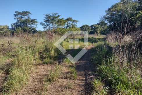 fazenda65726028