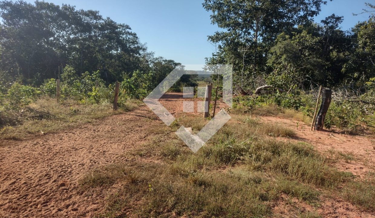 fazenda65726029