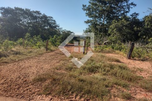 fazenda65726029