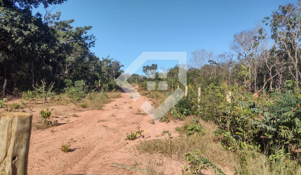 fazenda65726030