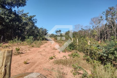 fazenda65726030