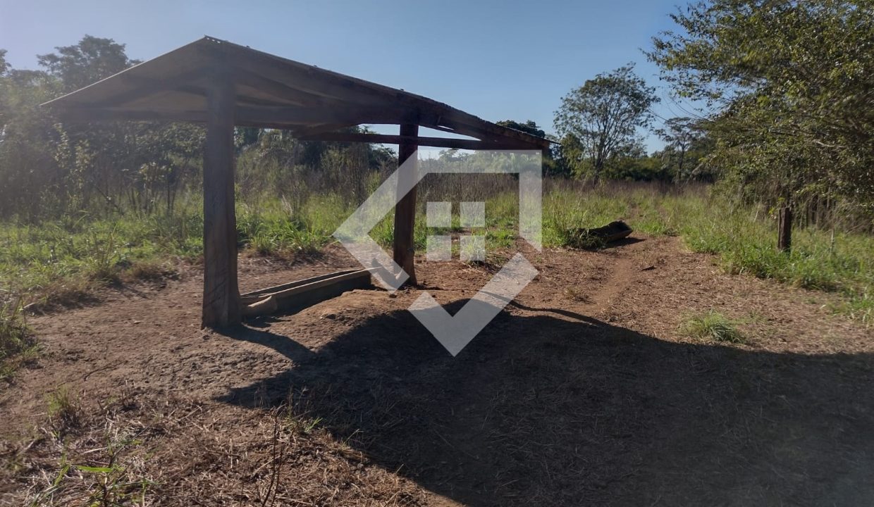 fazenda65726032