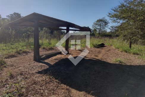 fazenda65726032