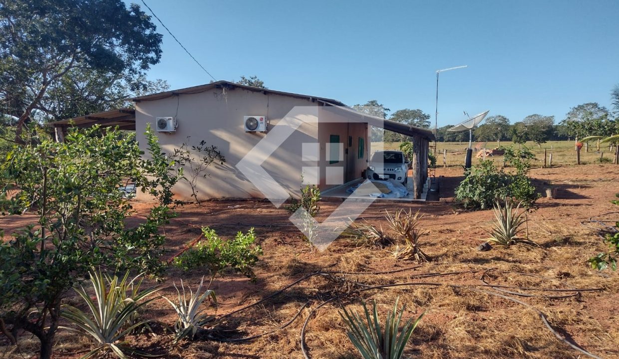 fazenda65726037