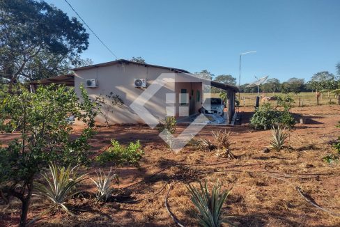 fazenda65726037