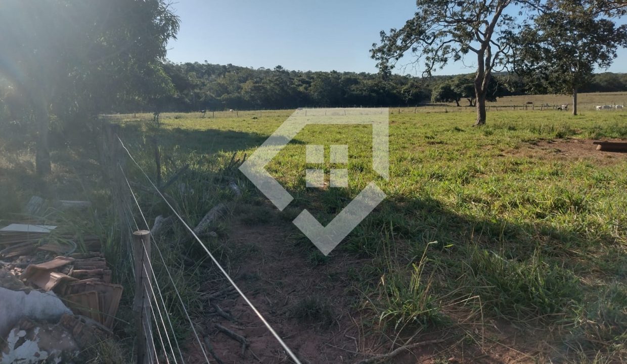 fazenda65726038