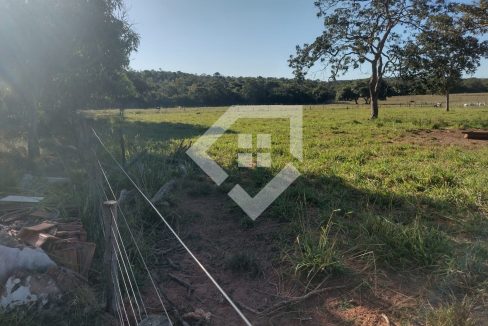 fazenda65726038
