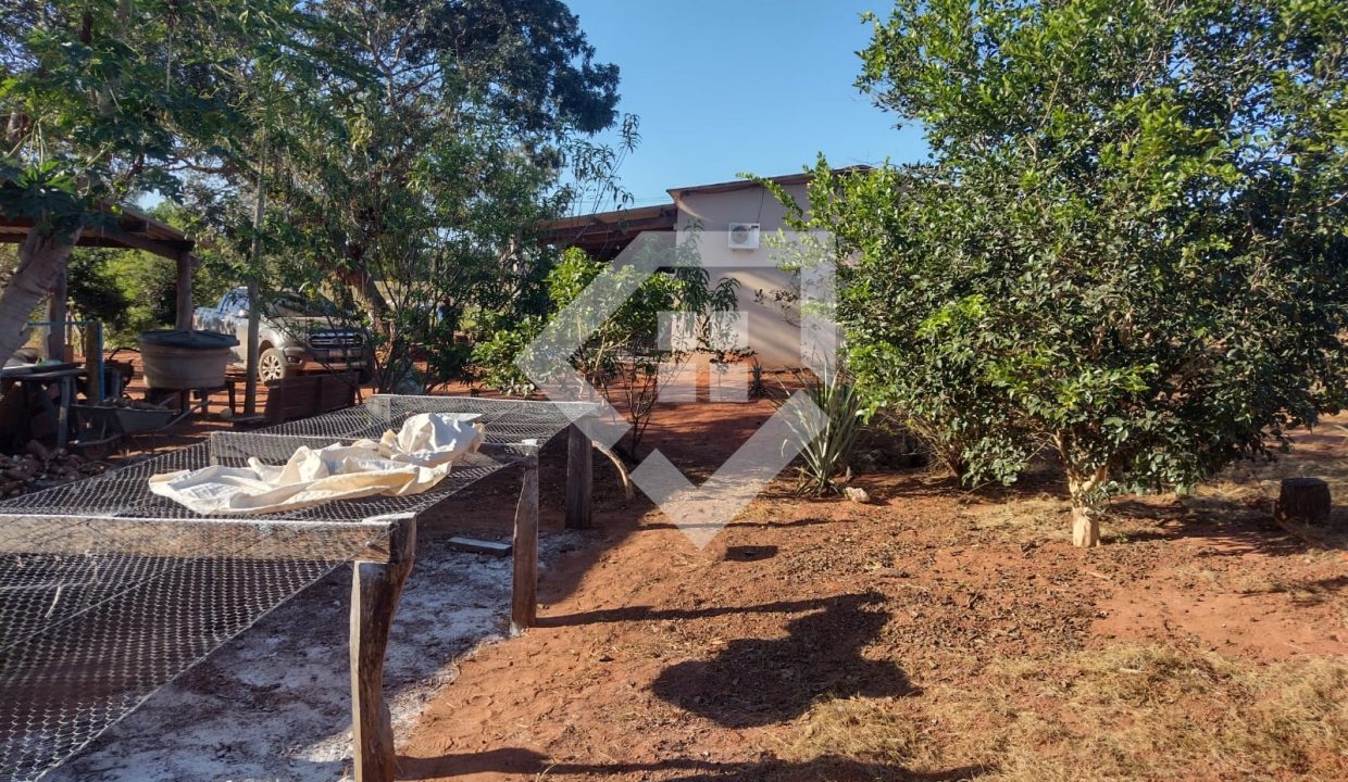 fazenda65726039
