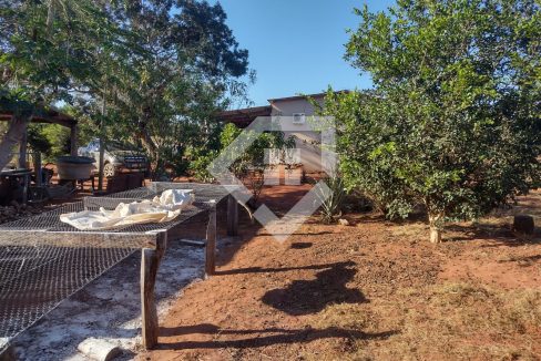 fazenda65726039