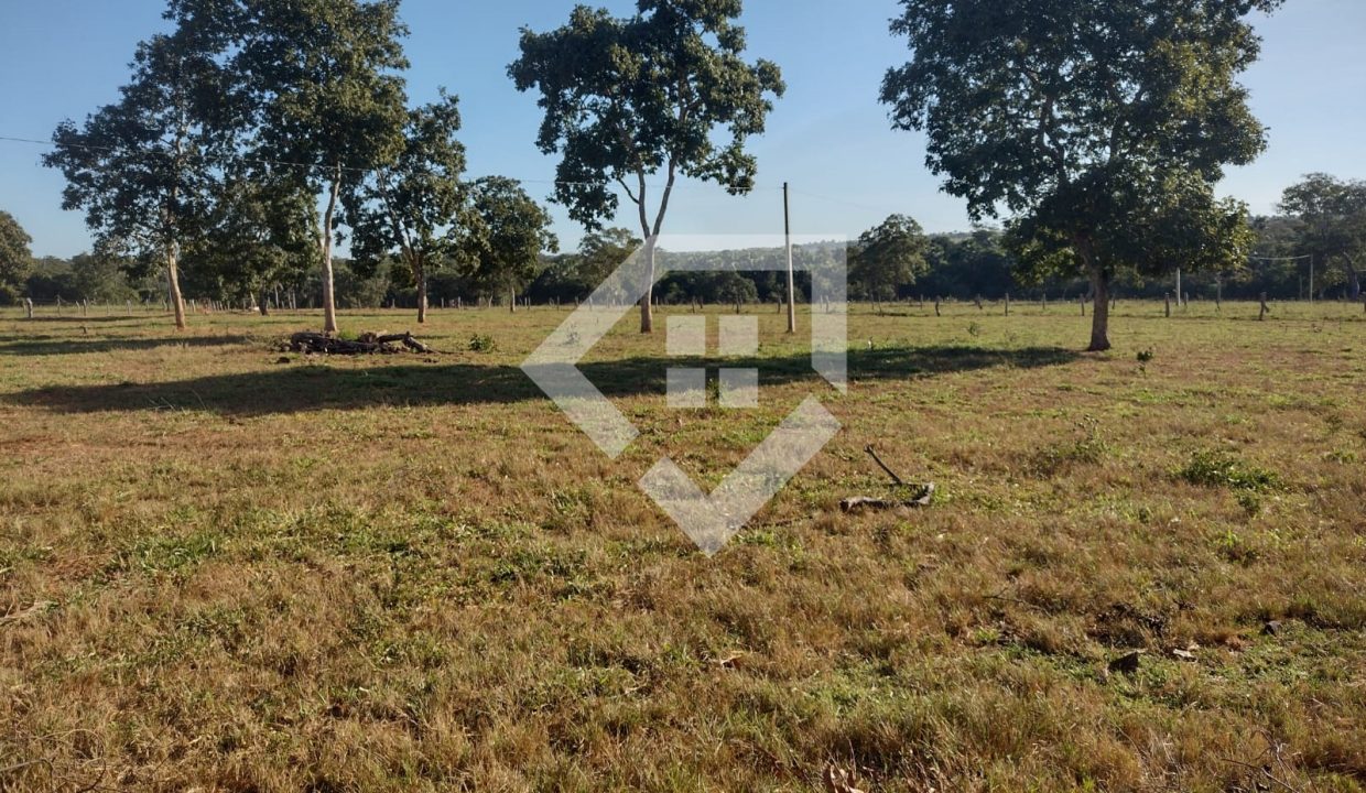 fazenda65726040