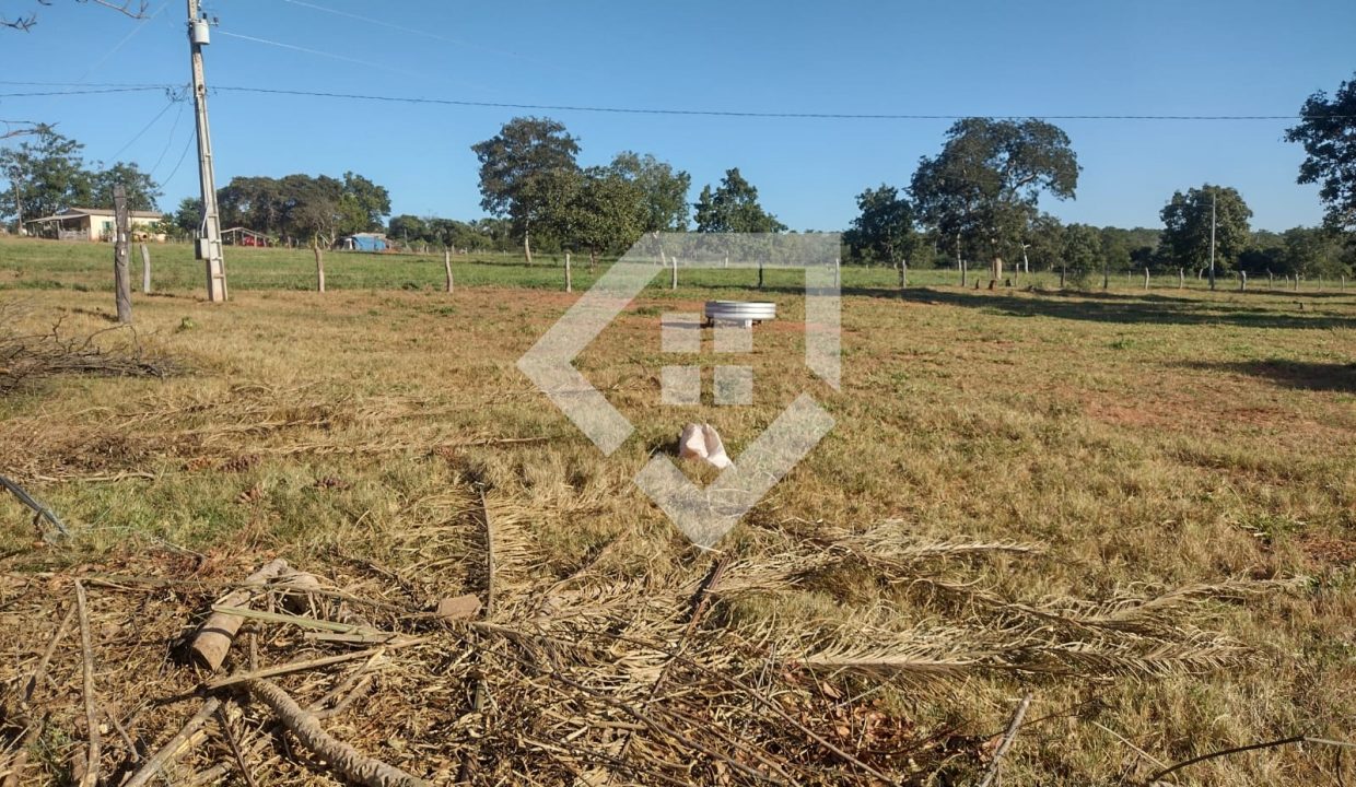 fazenda65726041