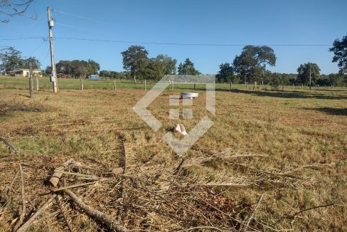 fazenda65726041