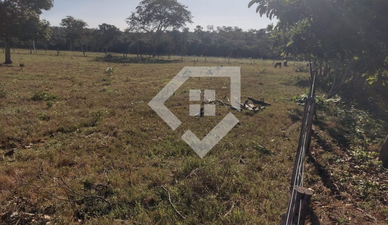 fazenda65726042