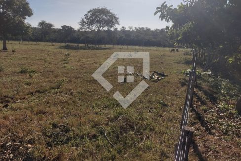 fazenda65726042
