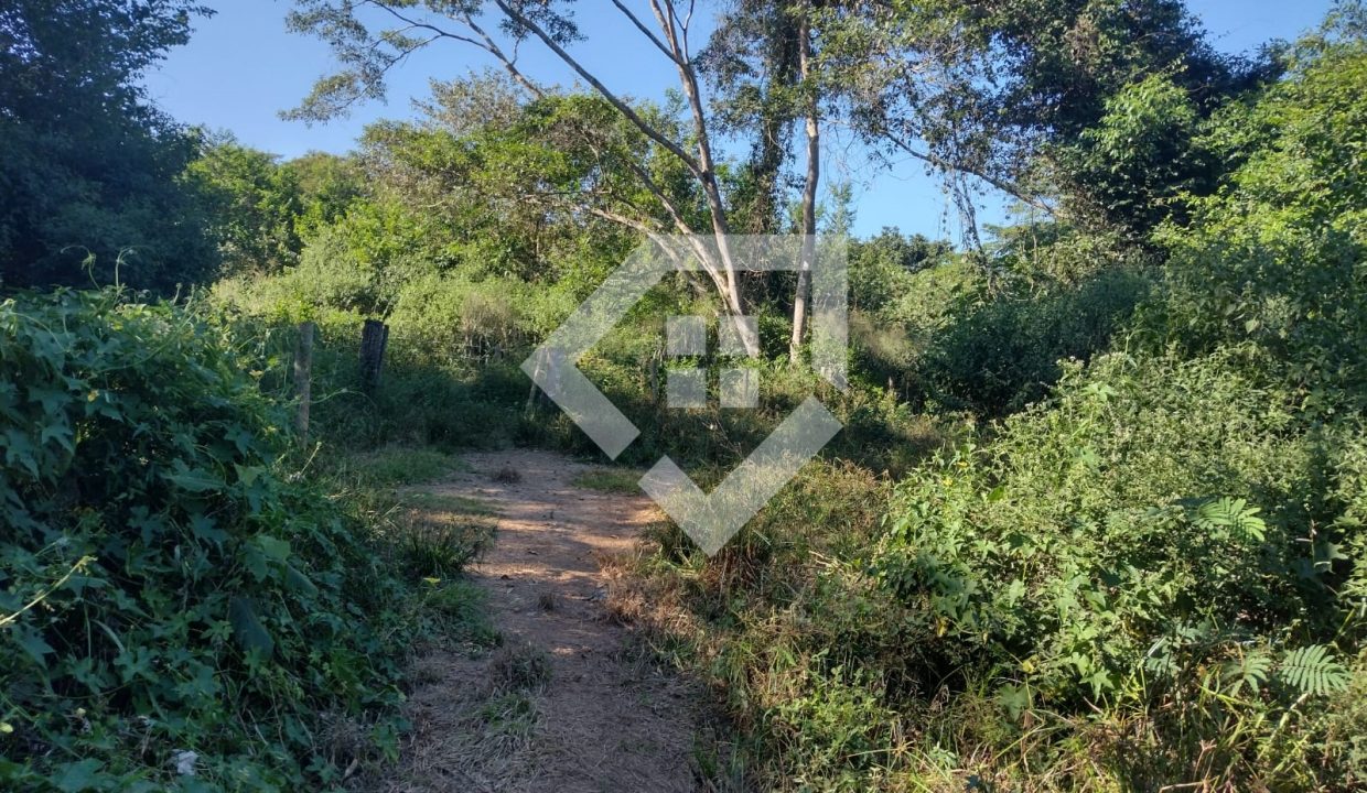 fazenda65726044