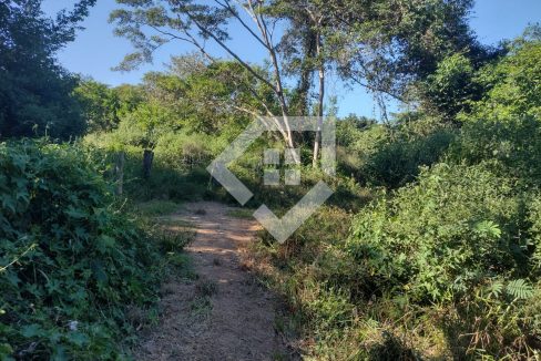 fazenda65726044