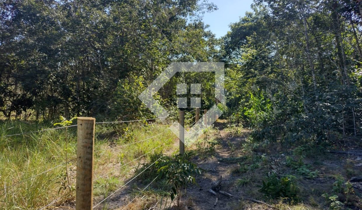 fazenda65726045