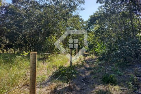 fazenda65726045