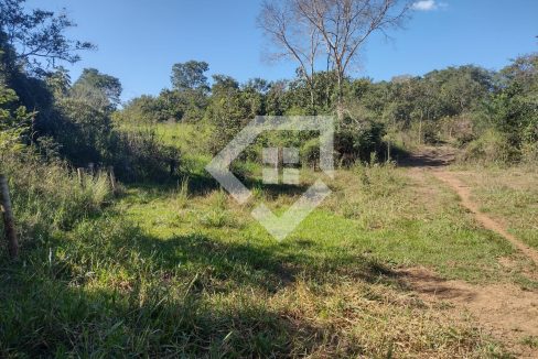 fazenda65726046