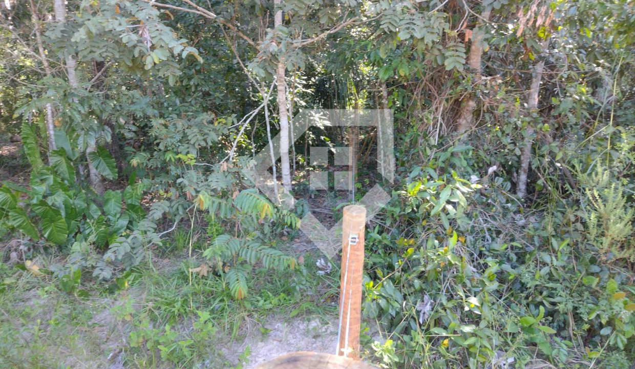 fazenda65726048