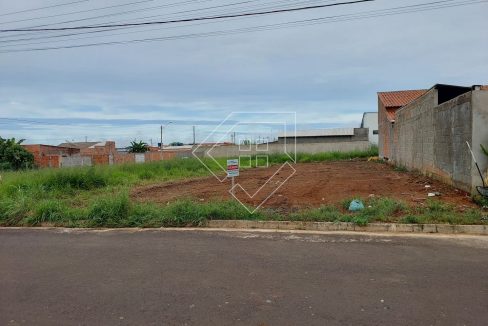 saopedro_001