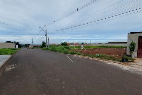 saopedro_002