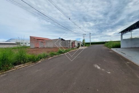 saopedro_003