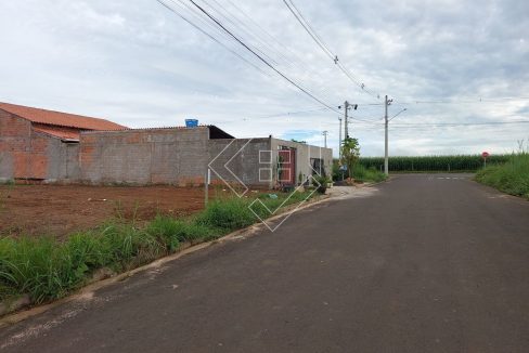 saopedro_004