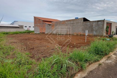 saopedro_005