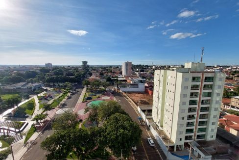 ararauna803_007