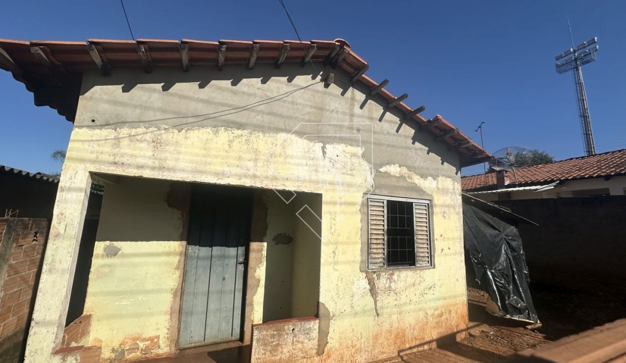 amazonas76203_011