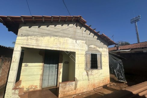 amazonas76203_011