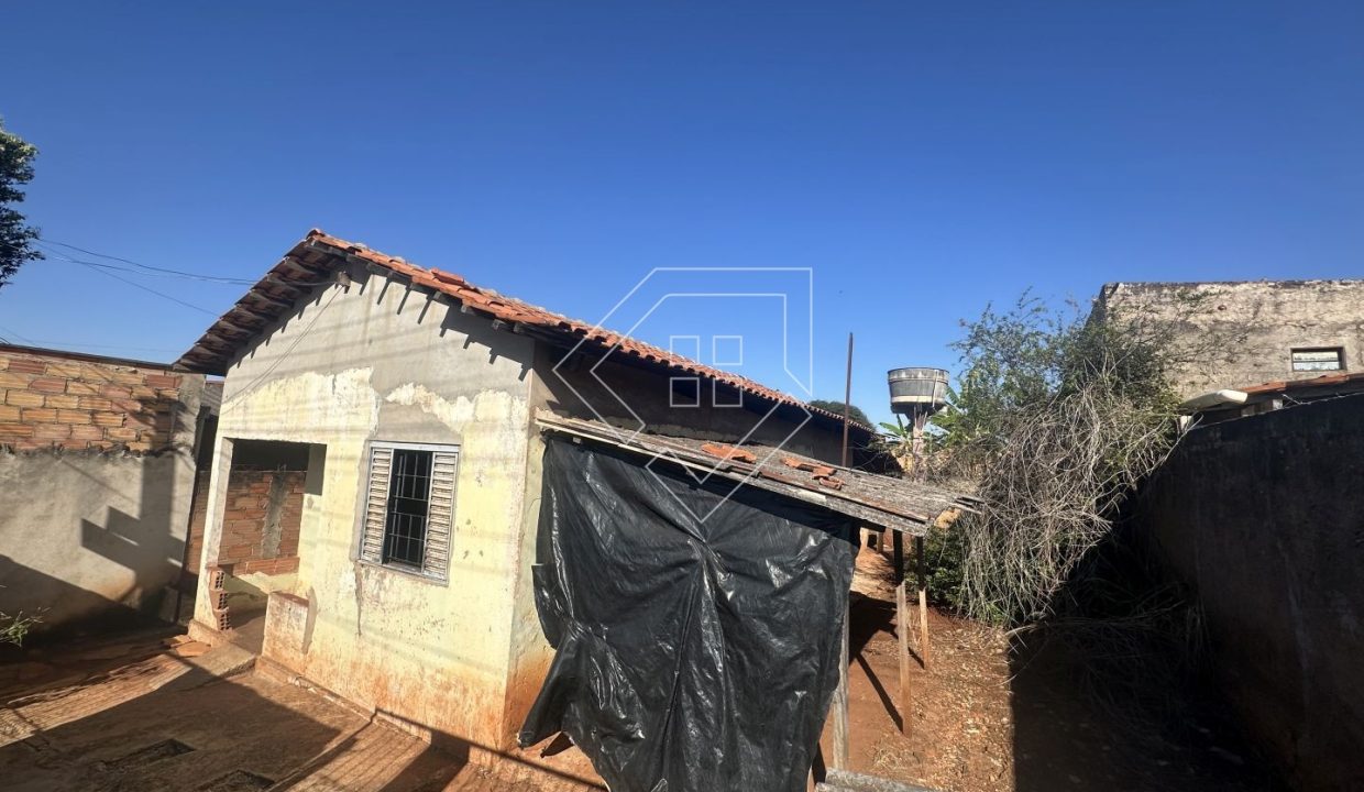 amazonas76203_012