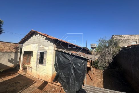 amazonas76203_012