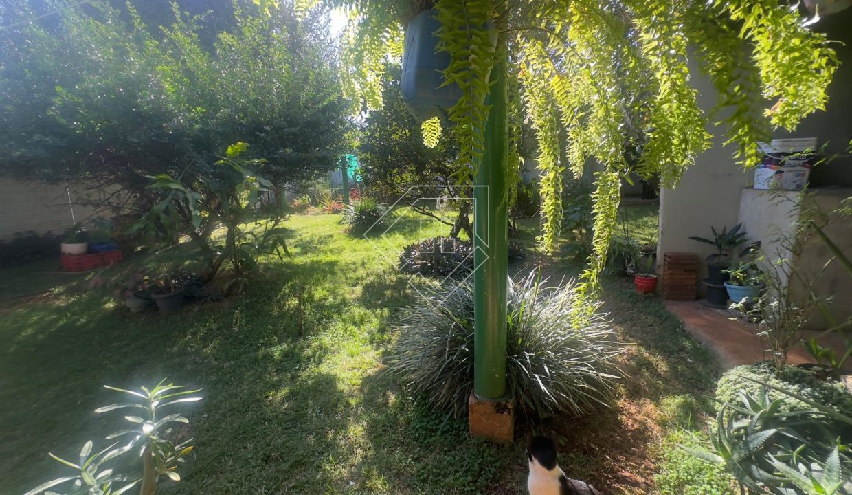 divinoespirito76472_003