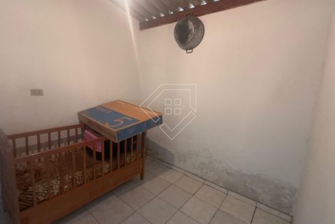 divinoespirito76472_016