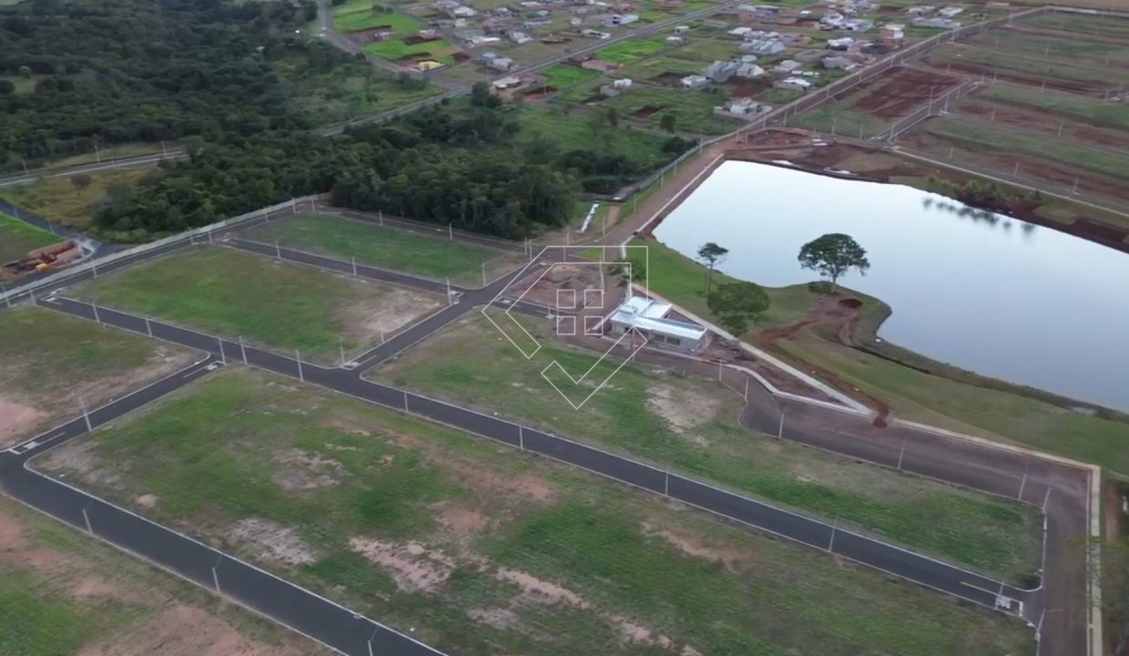 floresdamata_007