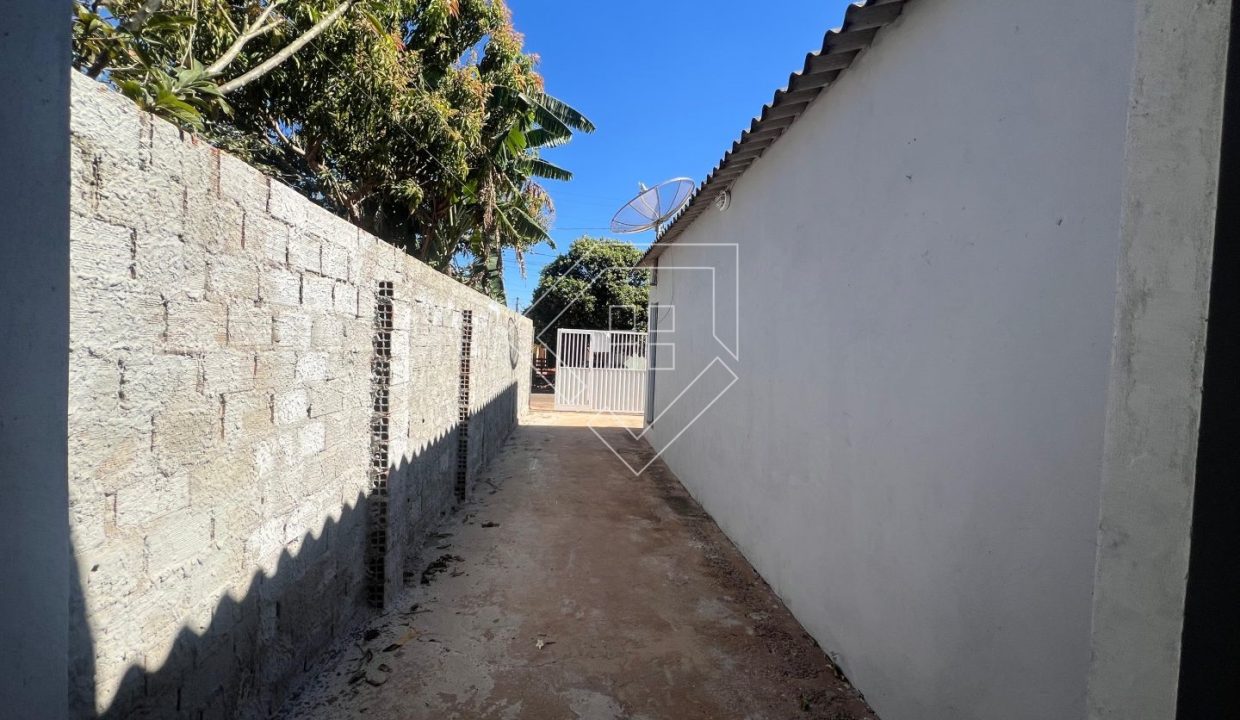 betel77193_003