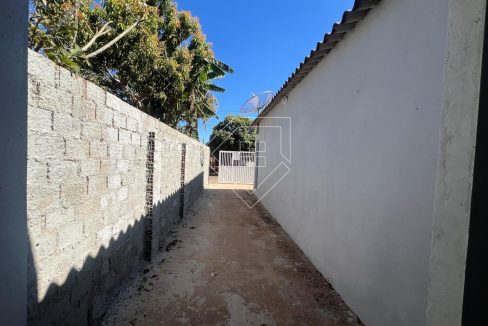 betel77193_003
