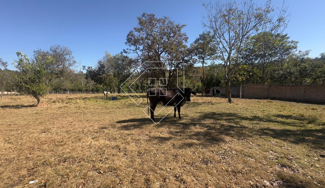 chacara77454_035