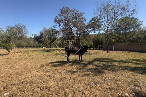 chacara77454_035