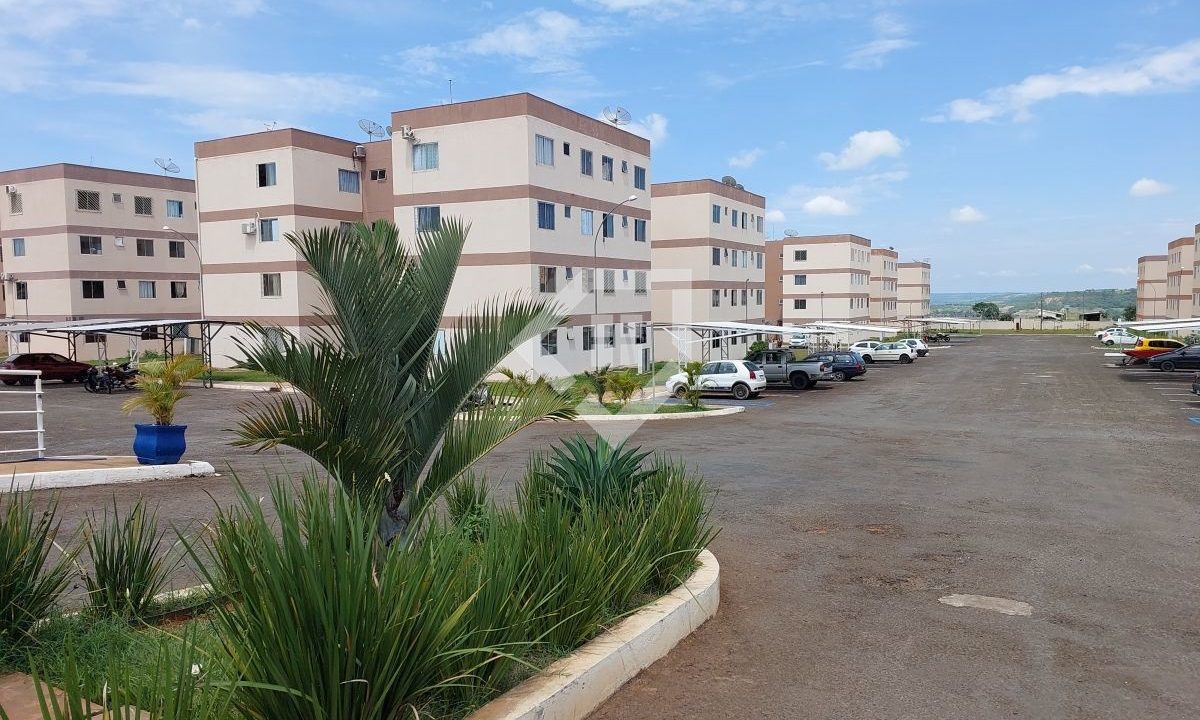 araras52455_003