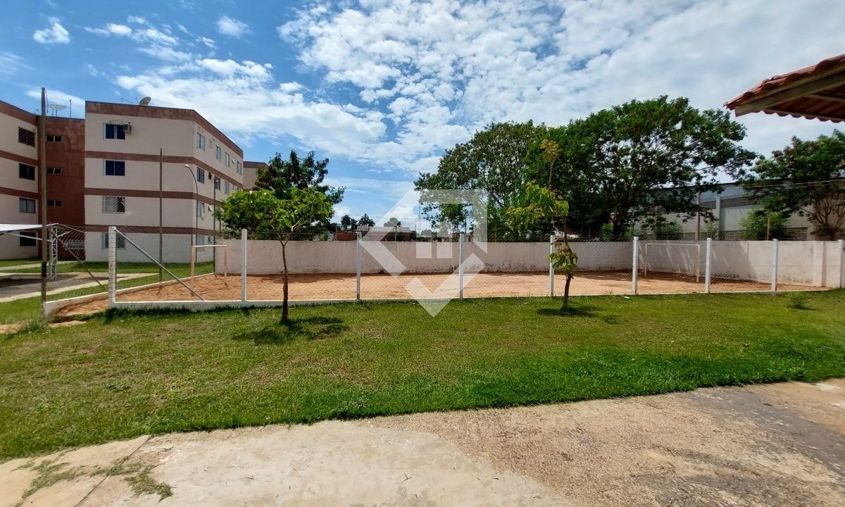 araras52455_016