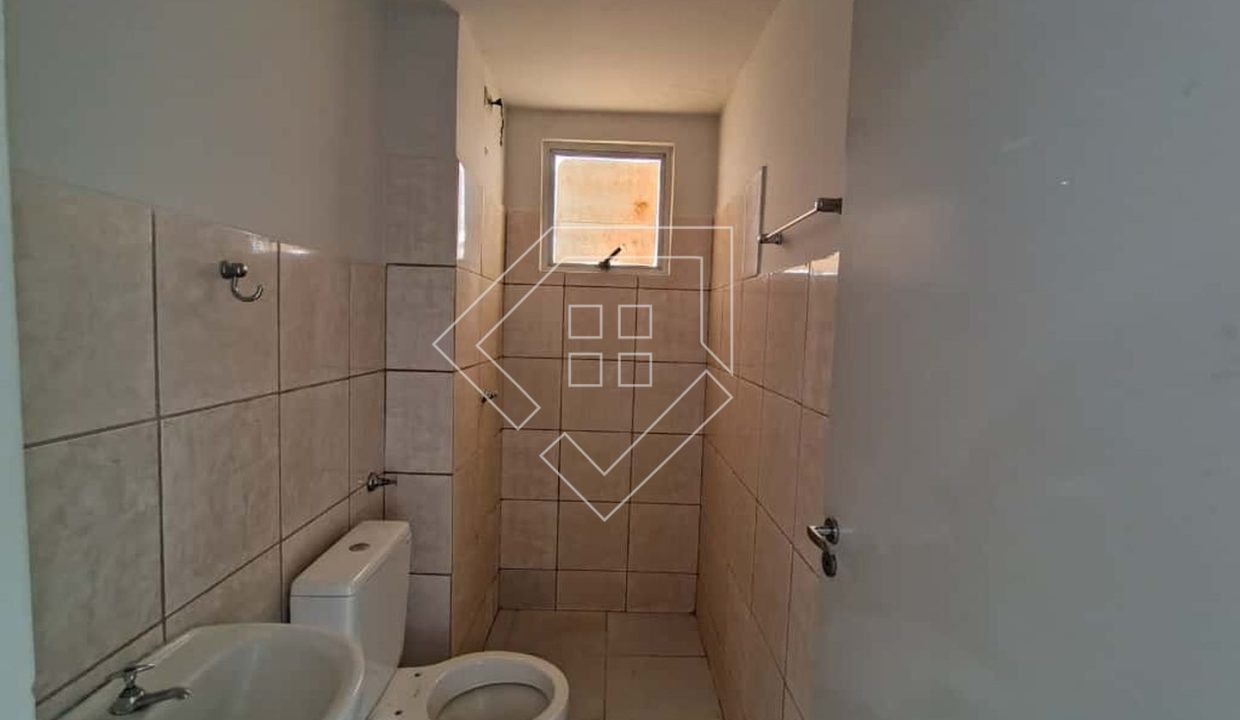 araras77890_010