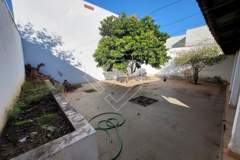 cidadenova77982_012