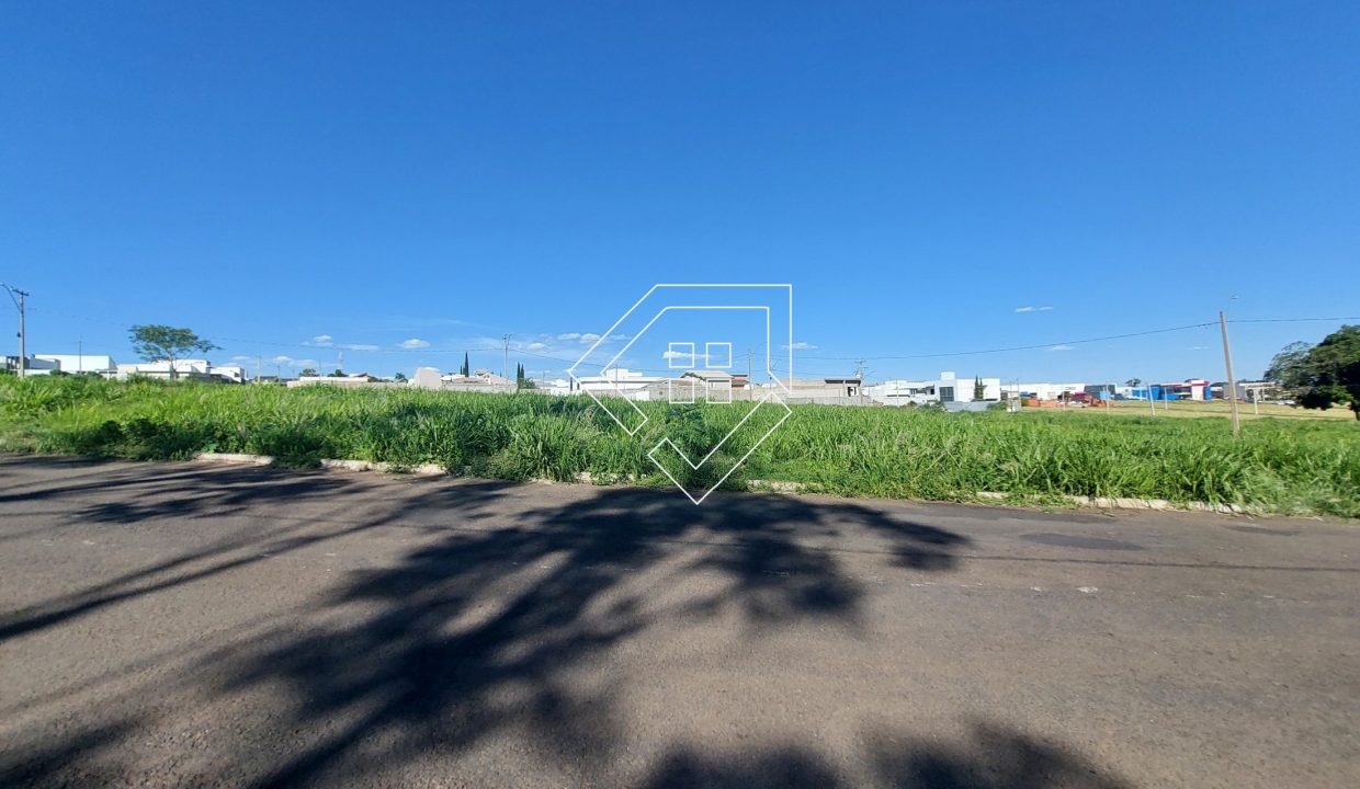 michelangelo23lt5_001