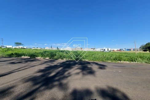 michelangelo23lt5_001