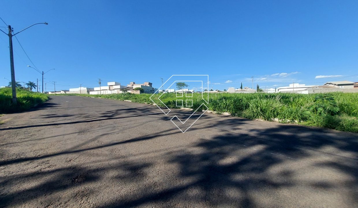 michelangelo23lt5_002