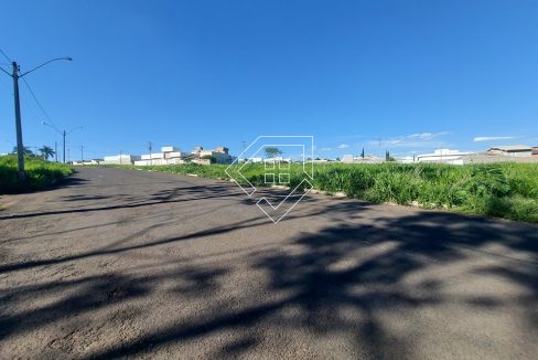 michelangelo23lt5_002