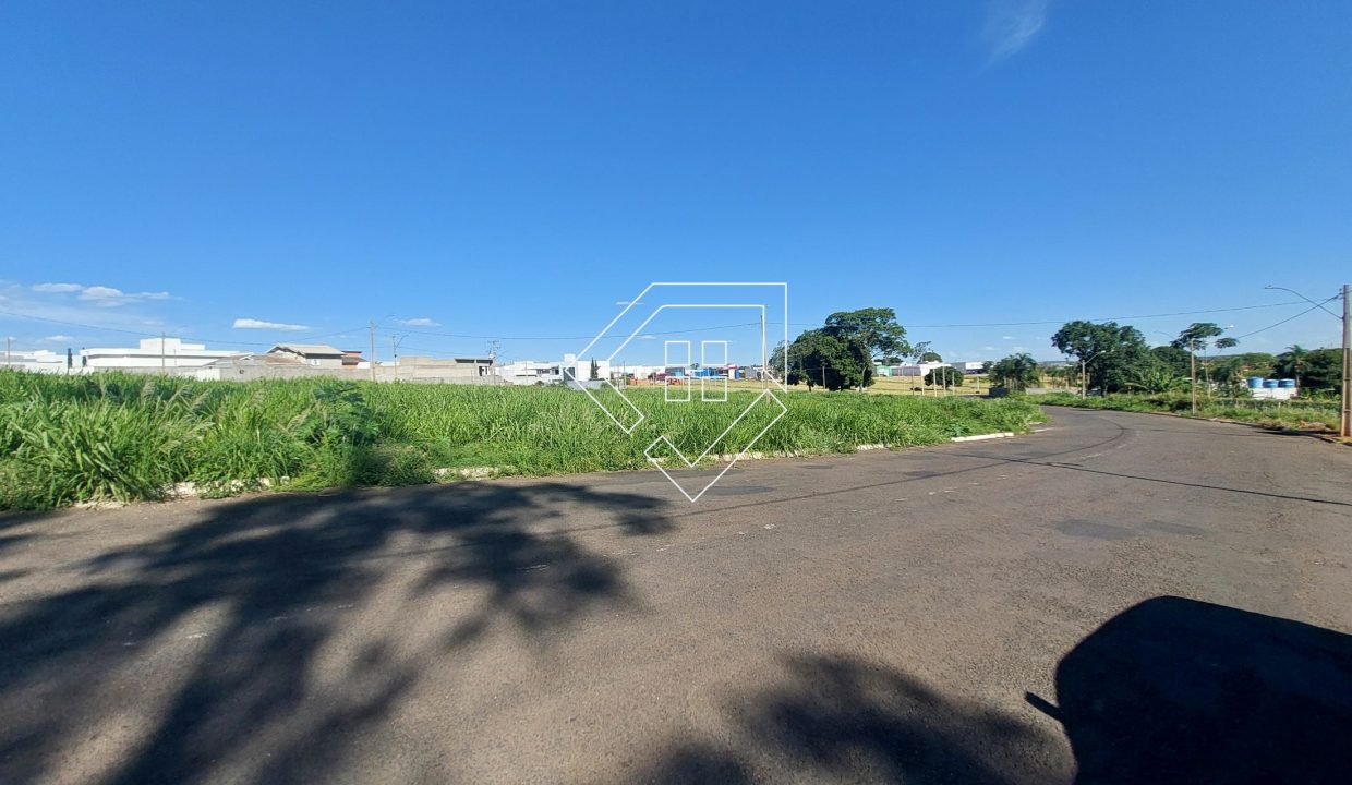 michelangelo23lt5_003